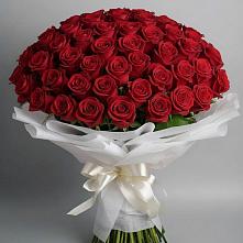 Букет 101 Красная роза Блэк Мэджик в Антипихе