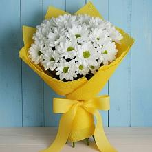 Букет цветов из:  Хризантемы #REPLACE_PRED# Антипихе