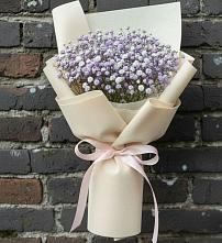 Букет цветов из:  Гипсофила в Антипихе