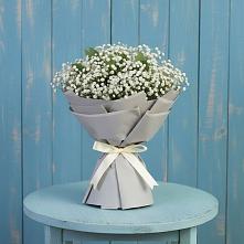 Букет цветов из:  Гипсофила в Антипихе