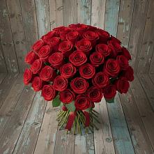 Букет 55 Красных роз Фридом #REPLACE_PRED# Антипихе