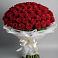 Букет 101 Красная роза Блэк Мэджик в Антипихе