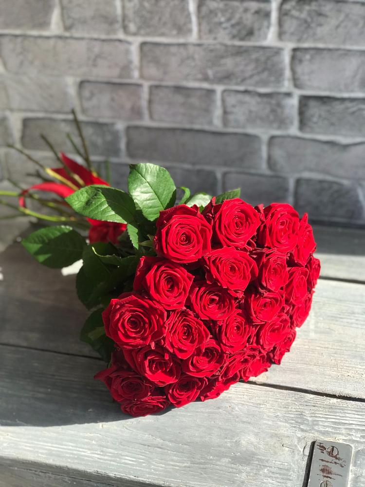 Букет Красные розы Фридом в Антипихе