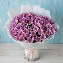 Букет цветов из:  Хризантемы в Антипихе