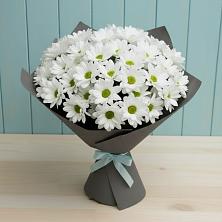 Букет цветов из:  Хризантемы в Антипихе