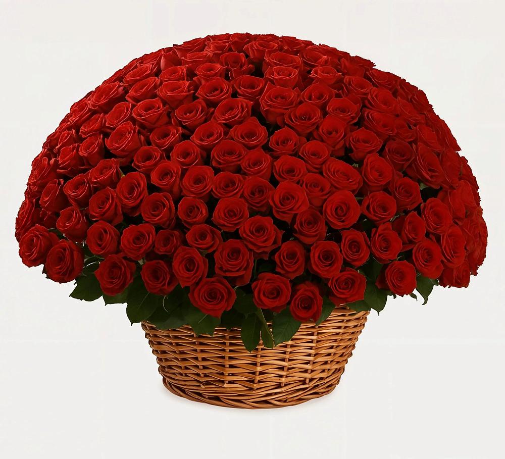 Премиум букет из: Розы в Антипихе