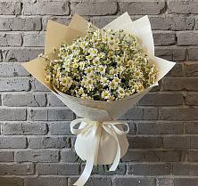 Букет цветов из:  Ромашки #REPLACE_PRED# Антипихе