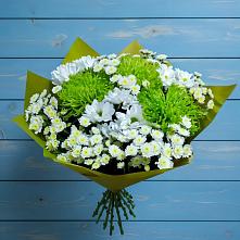 Букет цветов из:  Хризантемы #REPLACE_PRED# Антипихе