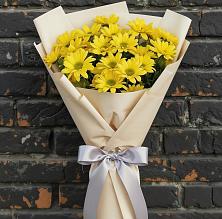 Букет цветов из:  Хризантемы в Антипихе