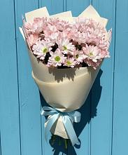 Букет цветов из:  Хризантемы в Антипихе