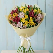 Букет цветов из:  Альстромерии в Антипихе