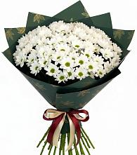 Букет цветов из:  Хризантемы в Антипихе