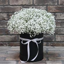 Цветочная композиция из Гипсофила в шляпной коробке в Антипихе