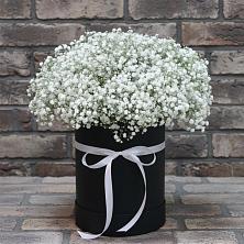 Цветочная композиция из Гипсофила в шляпной коробке в Антипихе