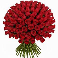 Букет Красные розы Чери Лав в Антипихе