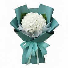 Букет цветов из:  Гортензия в Антипихе